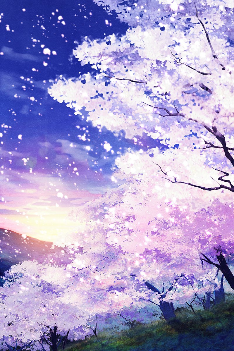 月夜樱林中的钢琴