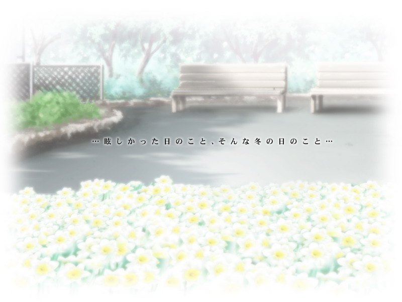 水仙与长椅
